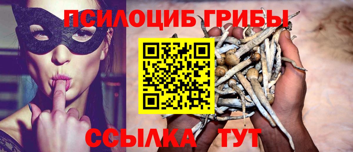 Сухой Лог  Псилоцибиновые грибы мухоморы  Вход с VPN 